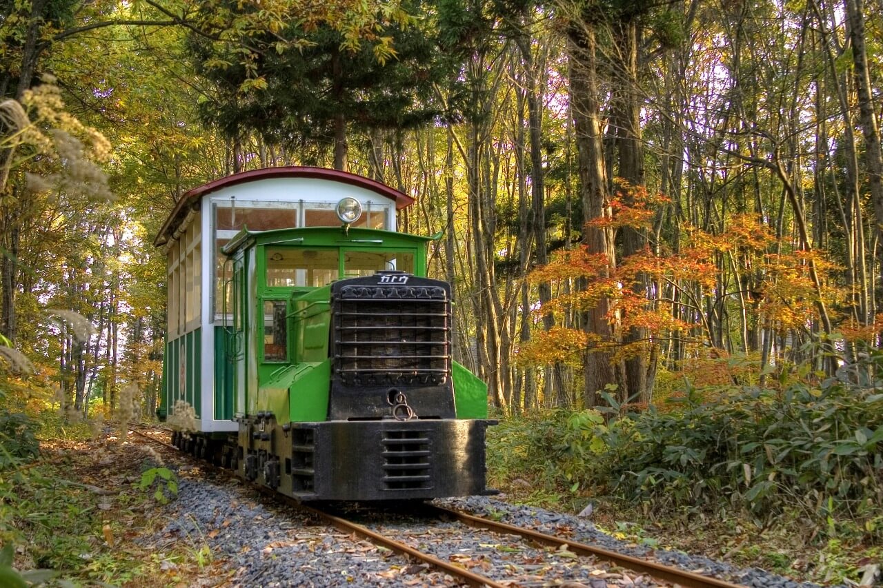 森林トロッコ列車